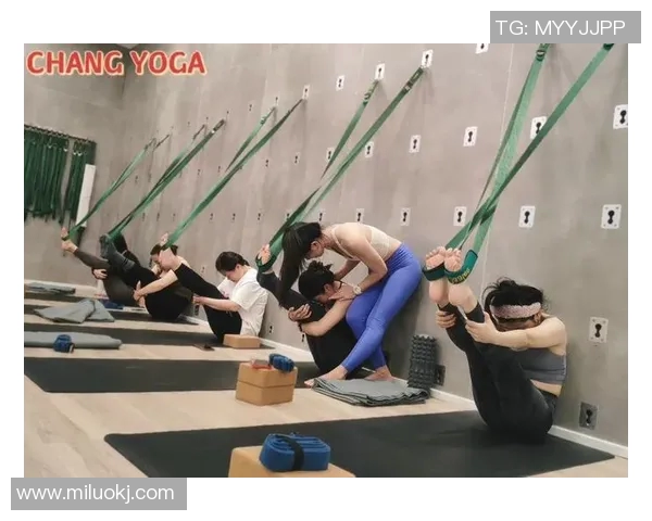 打造健康体魄与完美身材的终极健身指南全面提升力量耐力与塑形效果